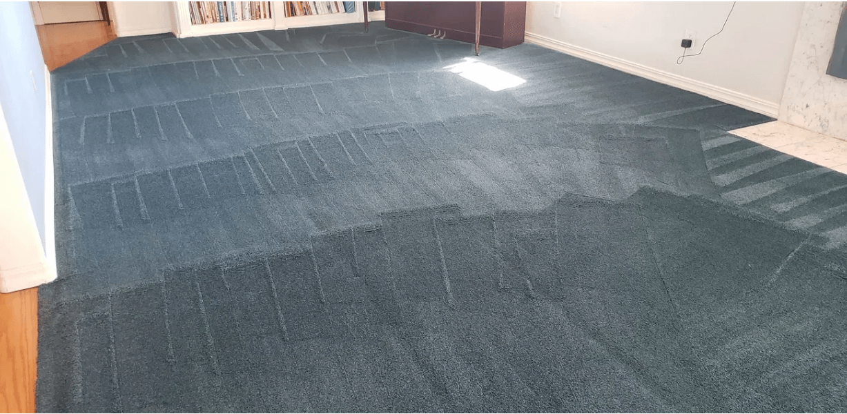 Empty carpeted room with dark blue flooring and light from a window on the left