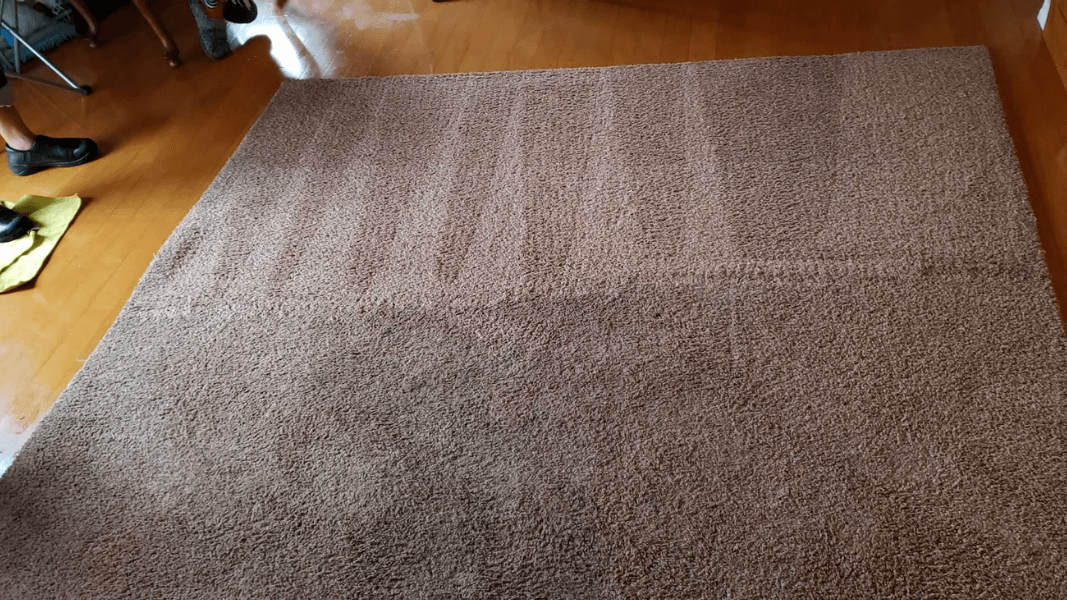 Brown carpet on a wooden floor with a small dog partially visible at the top left.